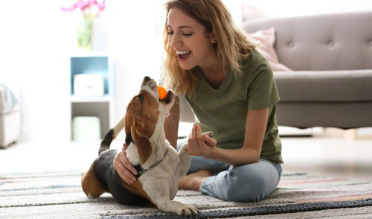 How Can I Find A Pet-Friendly Rug That Will Look Chic?