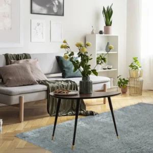 Duck Egg Aurora Supersoft Luxury Rug