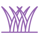 Flawless Year-round Beauty