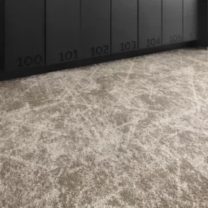 Harbour Reflections Beech