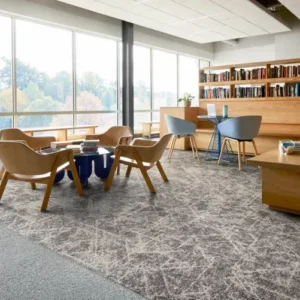 Harbour Reflections Beech