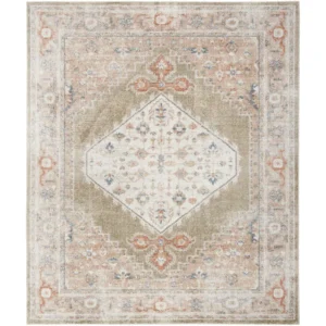 Millyr Washable Oriental Indoor Rug