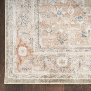 Millyr Washable Oriental Indoor Rug