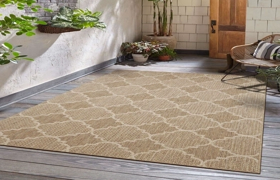 Outdoor Rugs