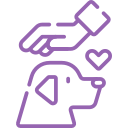 Pet-friendly And Child-safe