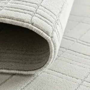 Rectangular Grid Patterned Carpet
