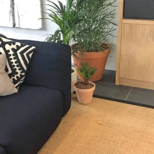 Sisal Madrid Rugs & Carpets