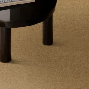 Wall-to-Wall Carpets Avenue Chestnut