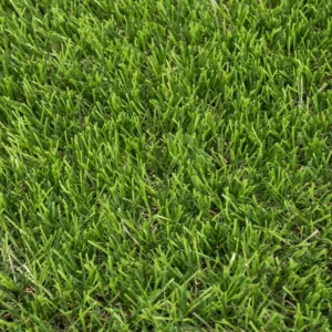 Daleside 40mm Artificial Grass