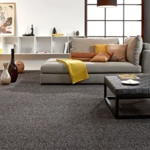 Living Room Wall To Wall Carpet