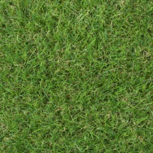 Sherbrooke 30mm Artificial Grass