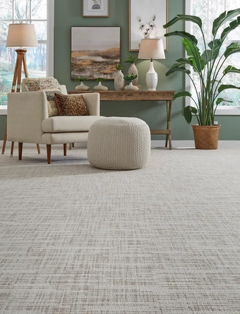 living Room Wall To Wall Carpet