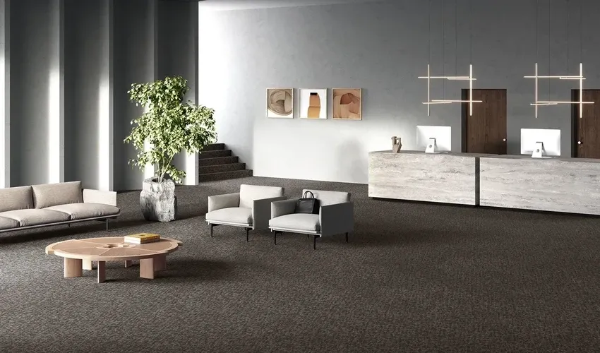 Best Wall-to-Wall Carpet for Each Room