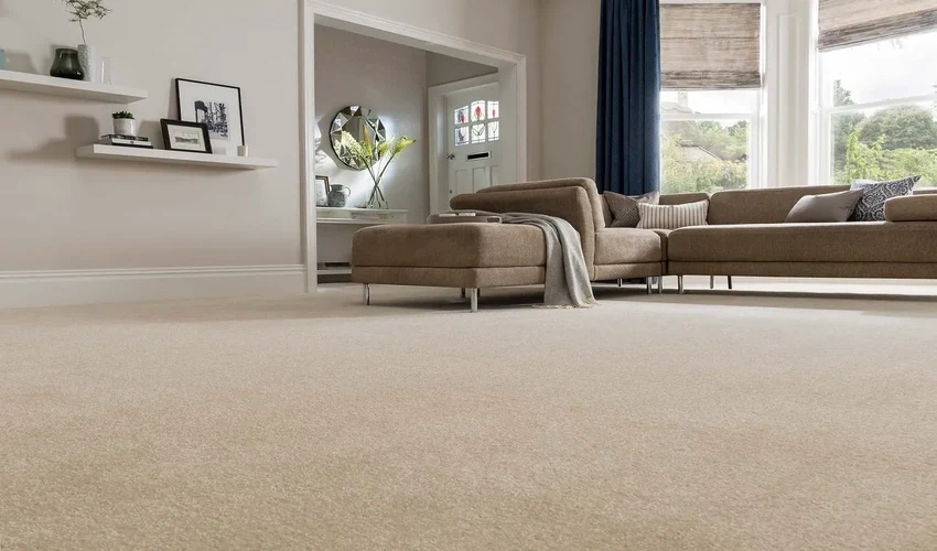 Consider Before Buying Wall-to-Wall Carpet