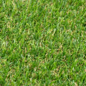 Severn 20mm Artificial Grass