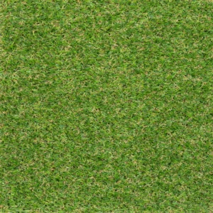 Severn 20mm Artificial Grass